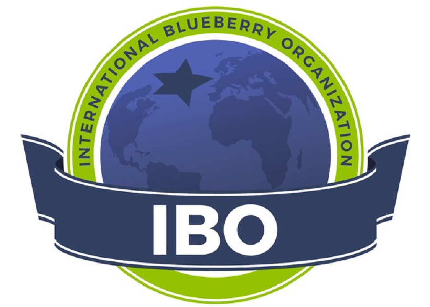 IBO’s 2021 Global State Of The Blueberry Industry Report Available For ...